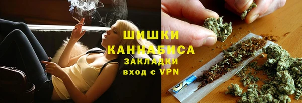 СК Богородск